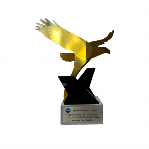 Águia de ouro: Programa Ontex de Distribuição 1° colocado PERFORMANCE TOTAL – 20